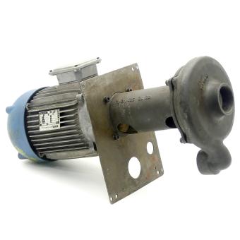 Drehstrommotor mit Pumpe 
