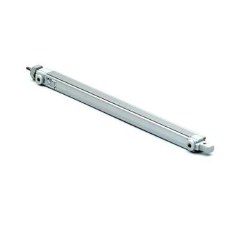 Pneumatic cylinder R480167294 