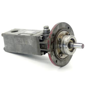 Screw spindle pump 