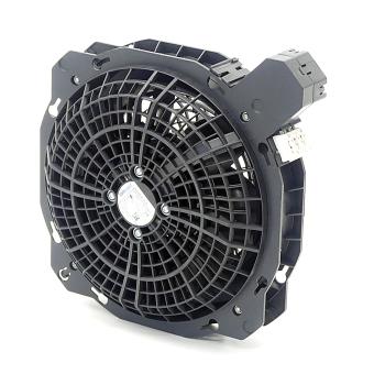 fan 