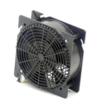 fan 