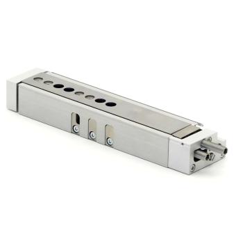 mini slide DGSL-8-80-P1A 