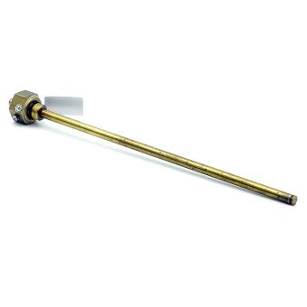 Immersion temperature sensor TF M-PT100-M12-ASI 