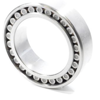Double-row cylindrical roller bearing WB-18 New open Box