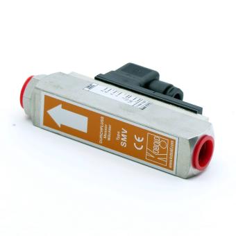 Durchflussmesser 