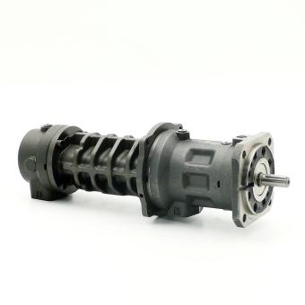 Screw spindle Pump 