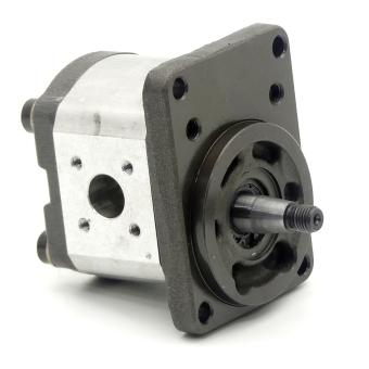 Hydraulik-Zahnradpumpe 