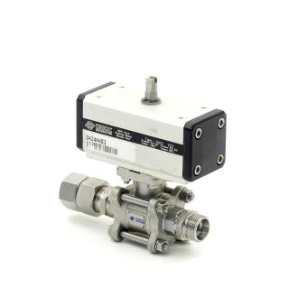 Pneumatic actuator 