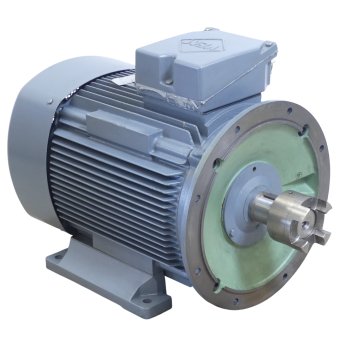 Three-phase motor 