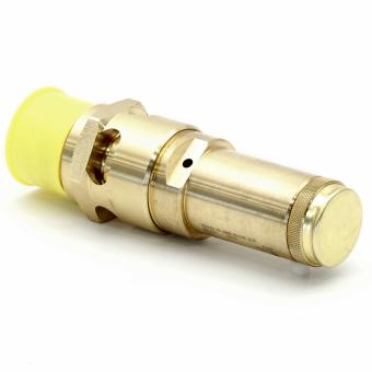Safety valve 