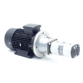 Double Gear Pump with Motor HMA2-90L-4 
