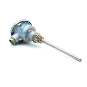 Temperature Sensor 