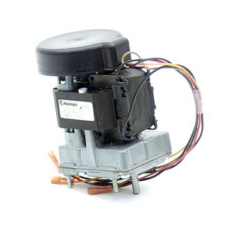 Gear motor 