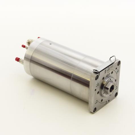 Spindelmotor MSL-RZ 160121AO36/4.2.2  Neu