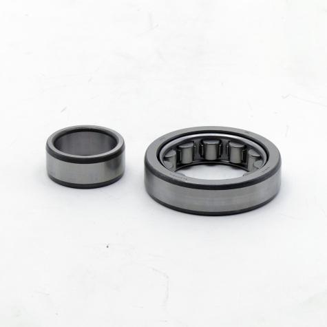 Cylindrical Roller Bearing  New FS