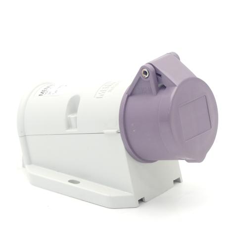 Buchse Violett  Neu