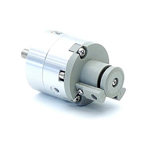 Pneumatic rotary actuator  