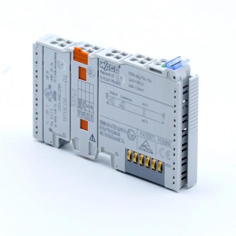 Analog output terminal  