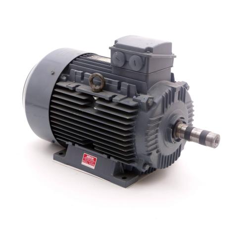 Three-phase Motor IEC 60034 