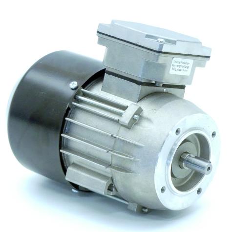 three-phase motor  