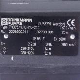 Tauchpumpe 11000191Z3 Neu