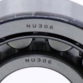 Cylindrical Roller Bearing OAPN New FS
