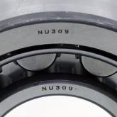 Cylindrical Roller Bearing  New FS