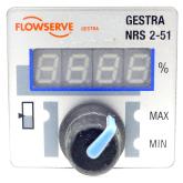 Level controller Flowserve 