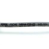 Induktiver Sensor NBN4-F29-E2 Neu