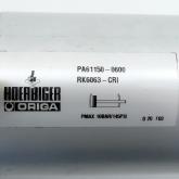 Pneumatikzylinder RK6063-CRI Gebraucht