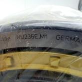 Cylindrical roller bearing  New FS