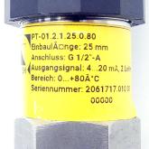 Kompakt Widerstandsthermometer PT-01.2 PT-01.2.1.25.0.80 