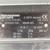 submersible pump TE144/220+001 Used