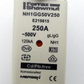 Sicherungseinsatz NH1GG50V250 Neu OVP