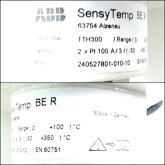 Temperature sensor SesnyTemp BE R TTH30 Used