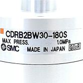 Pneumatic rotary actuator  