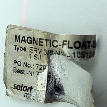 Magnetic float switch 