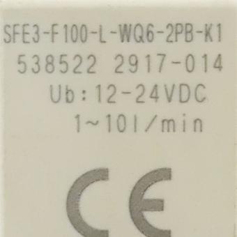 Durchflusssensor SFE3-F100-L-WQ6-2PB-K1 
