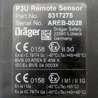 P3U Remote Sensor 