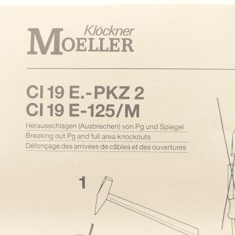 Trennschalter mit Gehäuse CI19E-Y1-P3 