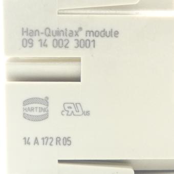 Buchsenmodul 