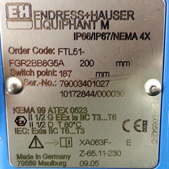 Vibronic point level detector 