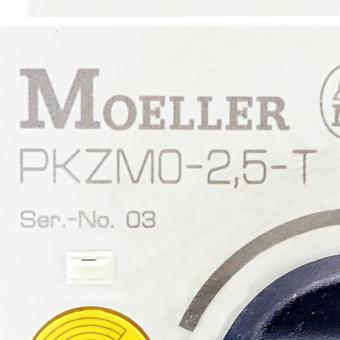 Motor protection switch 