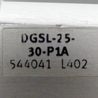 Mini sleigh DGSL-25-30-P1A 