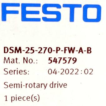 Schwenkantrieb DSM-25-270-P-FW-A-B 