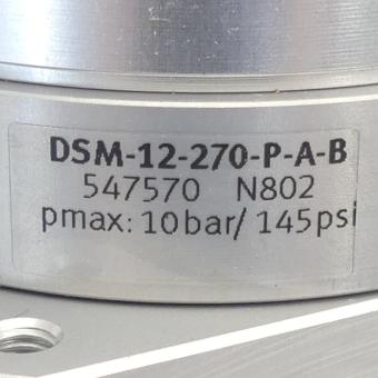 Schwenkantrieb DSM-12-270-P-A-B 