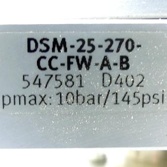 Schwenkantrieb DSM-25-270-CC-FW-A-B 