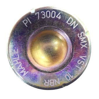 Leitungsfilter  Pi 73004 DN PS VST10 
