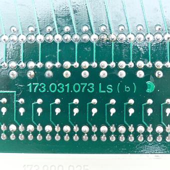 Input Module  