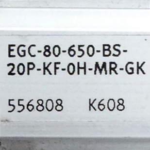 Spindle axis EGC-80-650-BS-20P-KF-OH-MR-GK 
